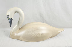 Duck 1