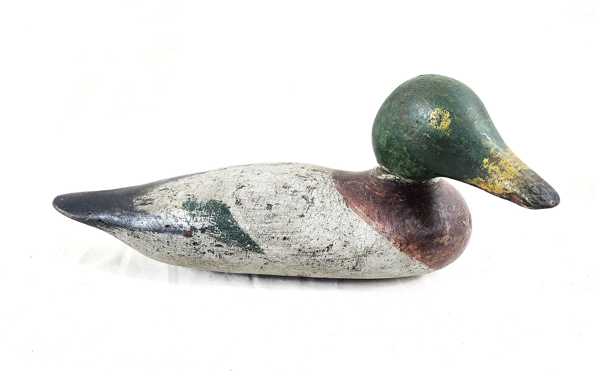Duck 3