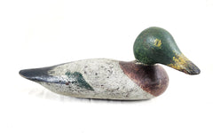 Duck 3